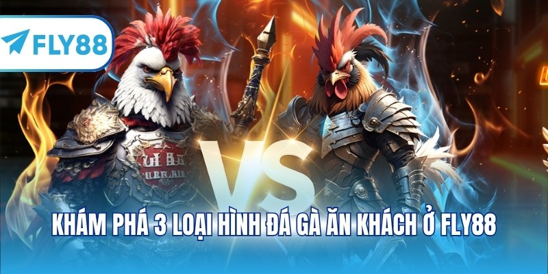Khám phá 3 loại hình đá gà ăn khách ở FLY88
